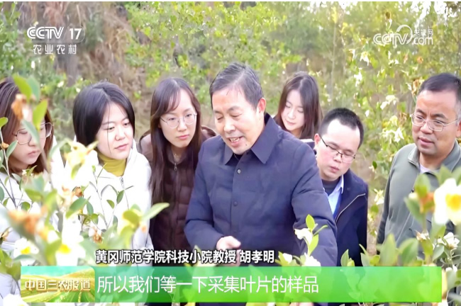 1767489098106916.jpg 202601043025.jpg